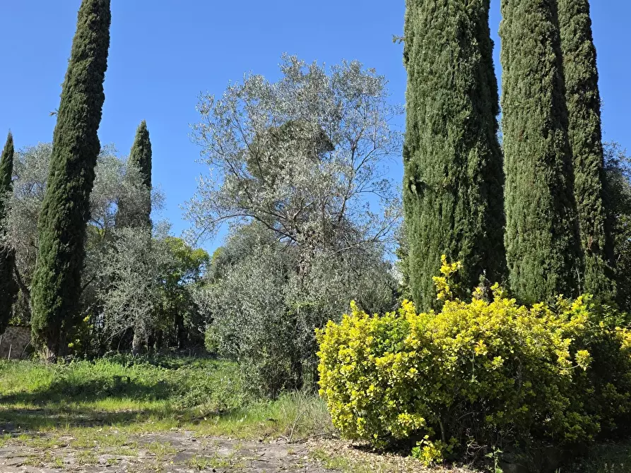 Immagine 42 di Terreno agricolo in vendita  in Via Enrico Fermi 13 a Morlupo