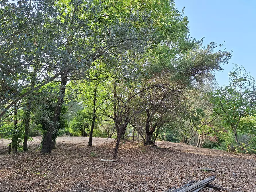 Immagine 3 di Terreno agricolo in vendita  in Via Mossa Dei Barberi 61 a Morlupo