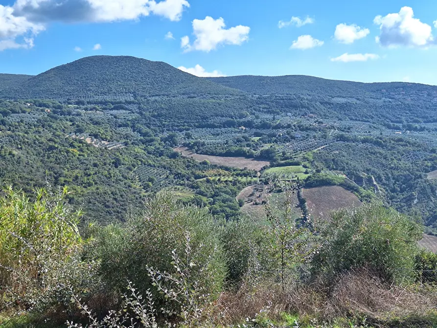 Immagine 59 di Rustico / casale in vendita  in Vocabolo Pupiglian 1 a Guardea