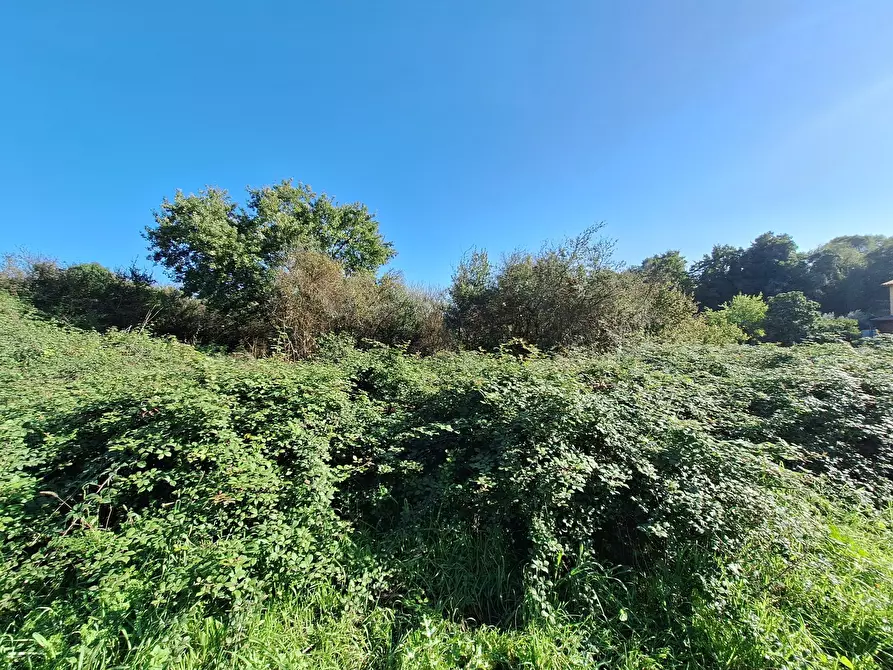 Immagine 2 di Terreno agricolo in vendita  in Via Monte delle Rose a Morlupo