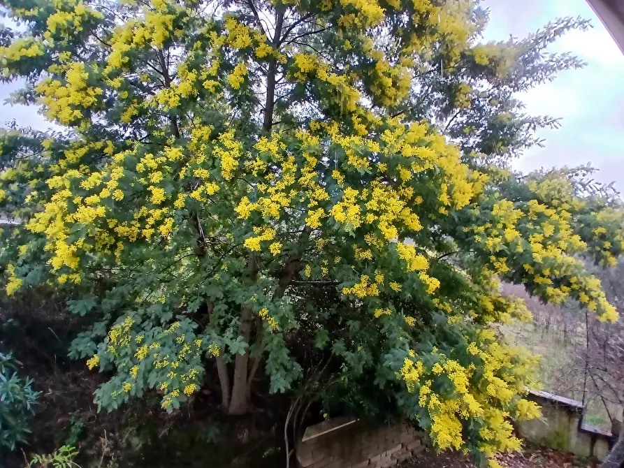 Immagine 54 di Casa indipendente in vendita  in Via Paolo Borsellino 66 a Morlupo