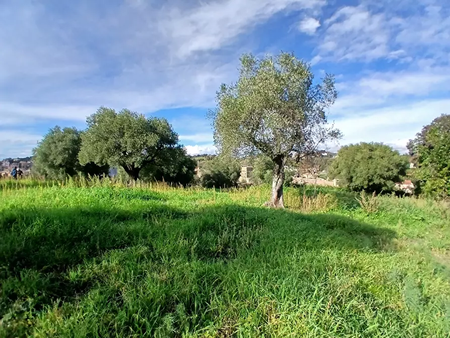 Immagine 14 di Terreno edificabile in vendita  in Via Enzo Ferrari 5 a Morlupo