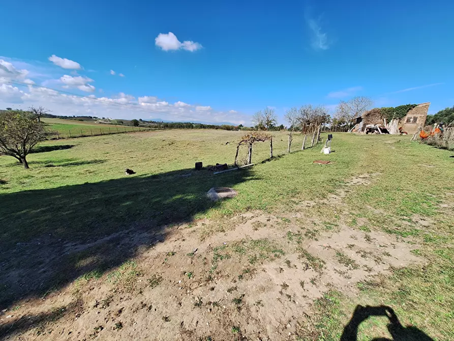 Immagine 83 di Villa in vendita  in Strada Comunale Campo Maggiore 10 a Rignano Flaminio
