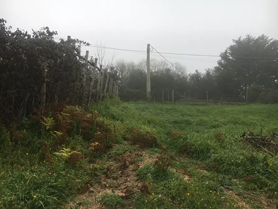 Immagine 5 di Terreno agricolo in vendita  in Via Monte Calcaro 51 a Sacrofano