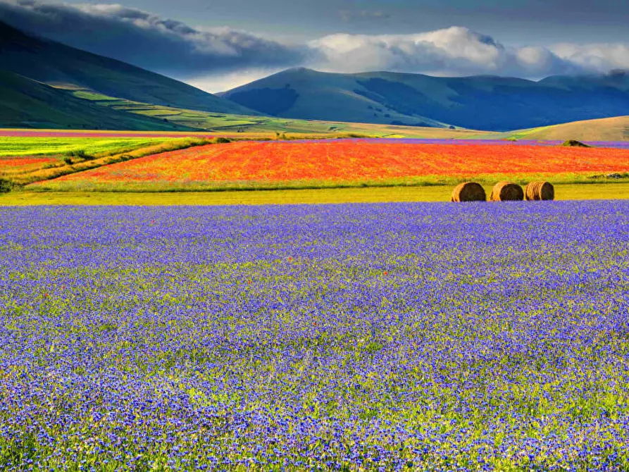 Immagine 31 di Terratetto in vendita  in Frazione Rasenna 1 a Visso