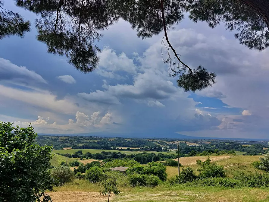 Immagine 99 di Rustico / casale in vendita  in Via Campagnanese 874 a Morlupo