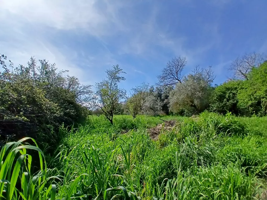Immagine 41 di Casa bifamiliare in vendita  in Strada Valle di Baccano 3 a Campagnano Di Roma