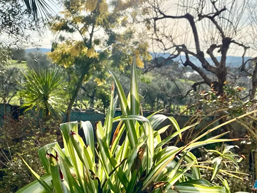 Immagine 12 di Villa in vendita  in Via dei Bagni a Greve In Chianti