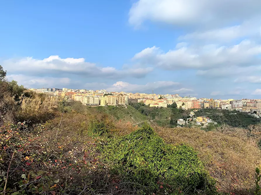 Immagine 4 di Terreno edificabile in vendita  a Catanzaro