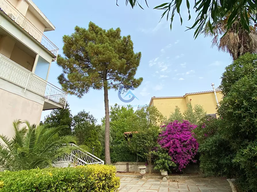 Immagine 12 di Trilocale in affitto  in Contrada Botterio 30 a Stalettì