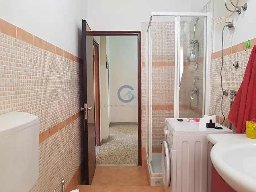 Immagine 12 di Trilocale in affitto  a Catanzaro
