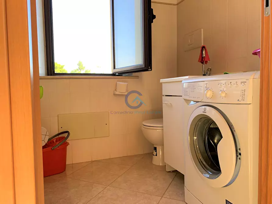 Immagine 17 di Stanza singola in affitto  a Catanzaro