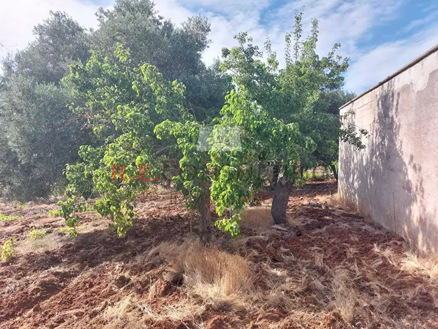 Immagine 15 di Casa indipendente in vendita  in strada sacramento a Ceglie Messapico