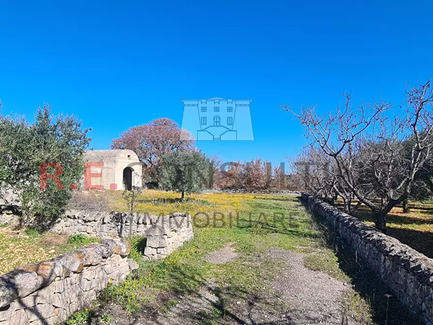 Immagine 7 di Baita in vendita  in Contrada Montemichele 14 a Ostuni