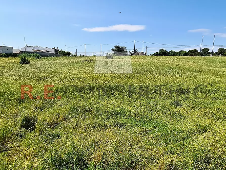 Immagine 25 di Baita in vendita  in Via Chiancaro 96 a Martina Franca