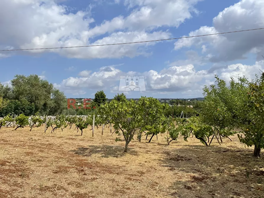 Immagine 16 di Baita in vendita  in Strada Provinciale 62 139 a Martina Franca
