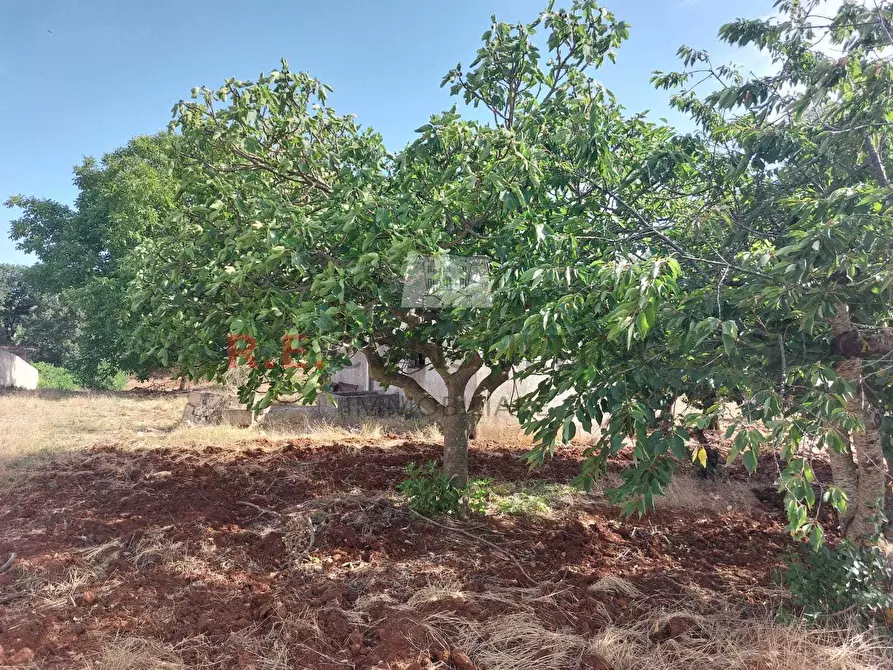 Immagine 14 di Casa indipendente in vendita  in strada sacramento a Ceglie Messapico