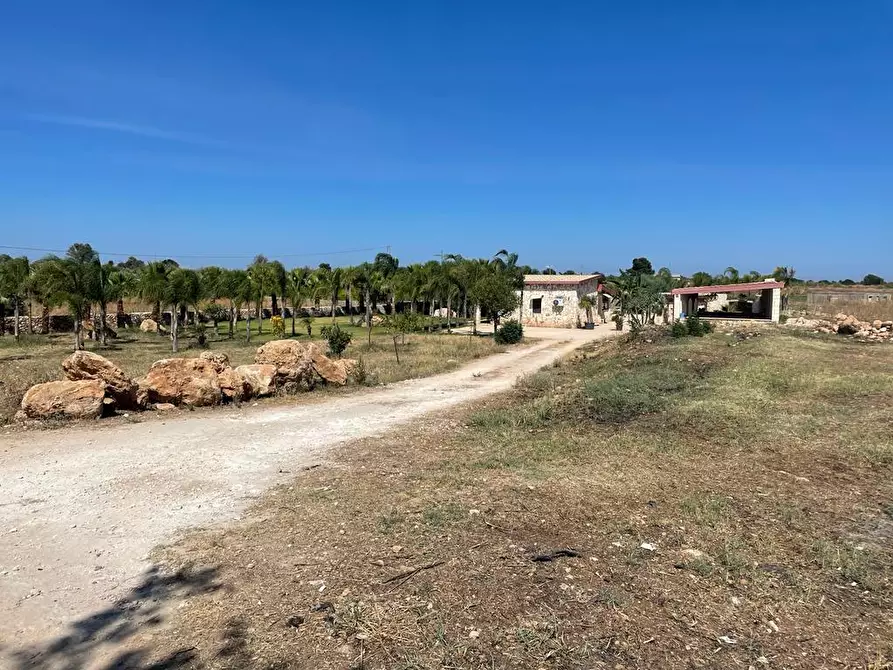 Immagine 33 di Terreno agricolo in vendita  in Traversa Maeggio di Sopra a Siracusa