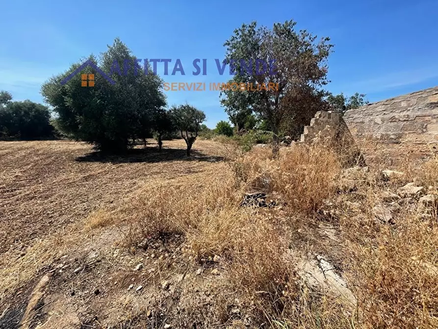 Immagine 12 di Terreno agricolo in vendita  in Traversa Maeggio di Sopra a Siracusa