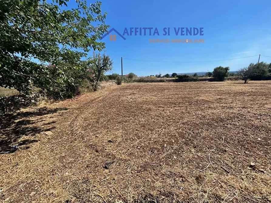 Immagine 5 di Terreno agricolo in vendita  in Traversa Maeggio di Sopra a Siracusa