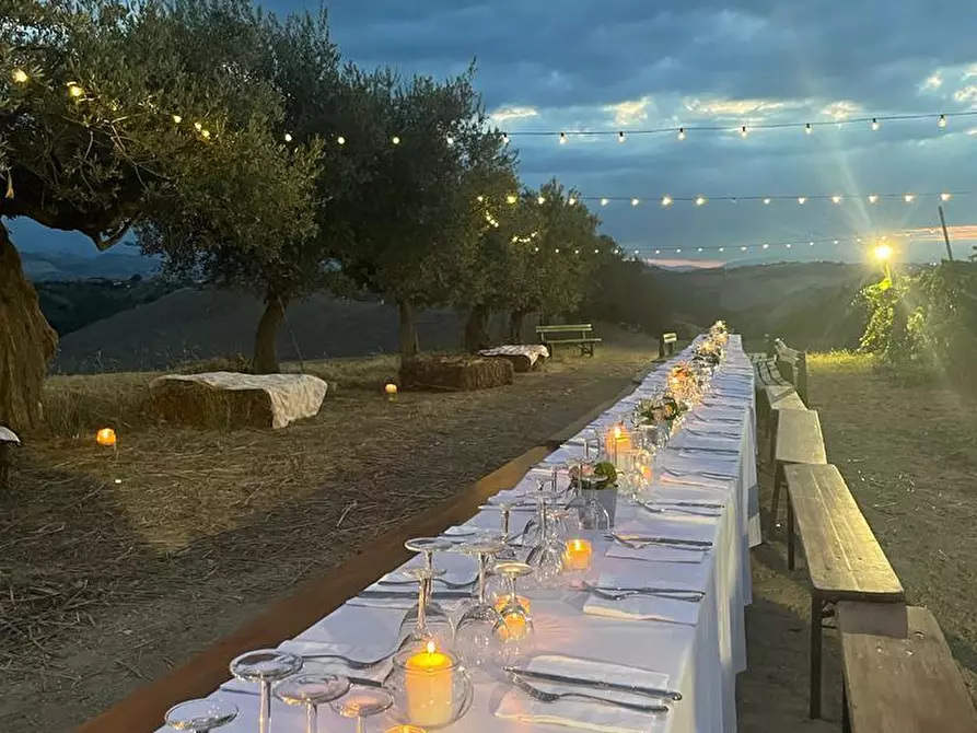 Immagine 2 di Azienda agricola in affitto  a Città Sant'angelo
