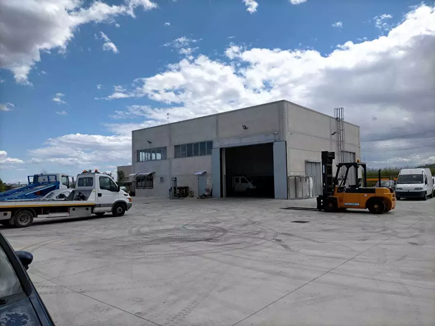 Immagine 19 di Attività artigianale in vendita  in città sant'angelo a Chieti