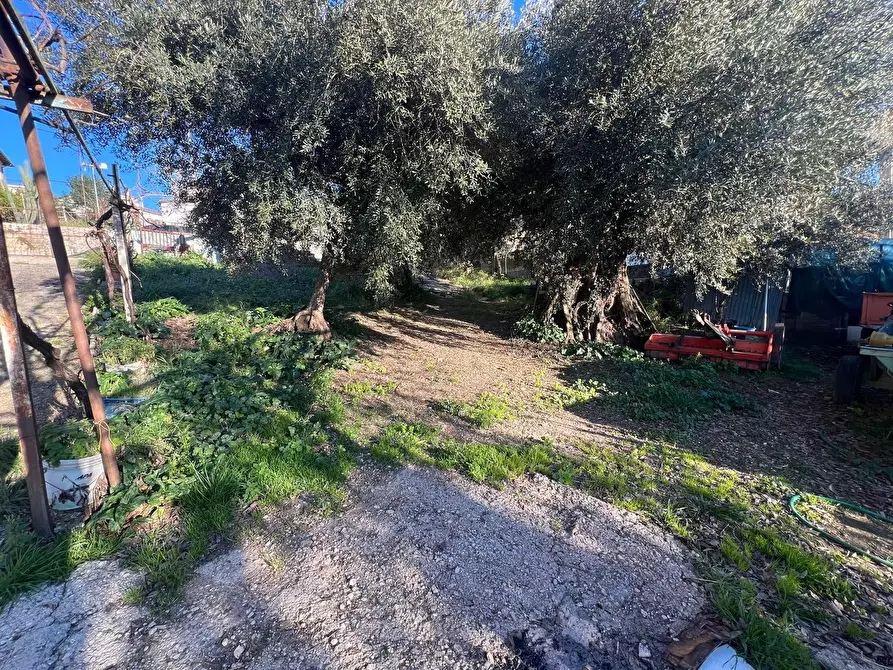 Immagine 1 di Terreno agricolo in vendita  a Fara In Sabina