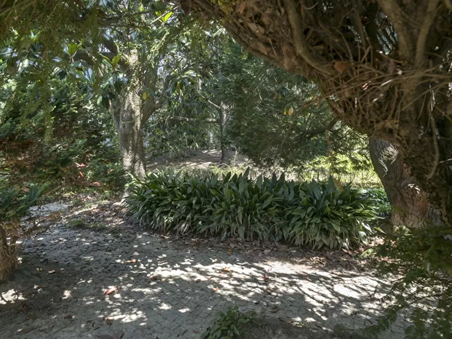 Immagine 14 di Villa in vendita  in via IV Novembre 22 a Strambino