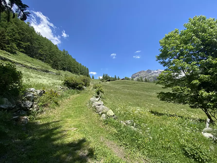 Immagine 8 di Baita in affitto  in Localita' Rovinal San Jacques 1 a Ayas