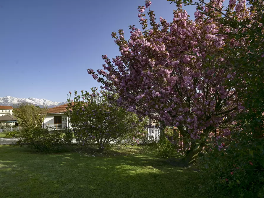 Immagine 6 di Villa in vendita  in via Giacomo Tinetti 4 a San Martino Canavese