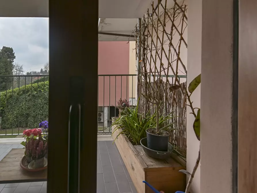 Immagine 49 di Quadrilocale in vendita  in Via Tetto Nuovo 6 a Pino Torinese