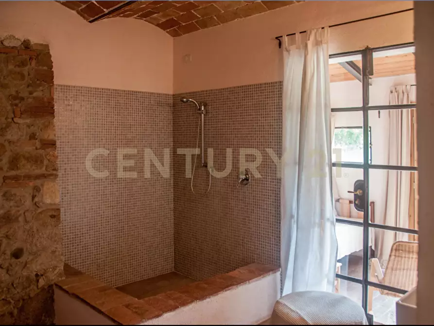 Immagine 27 di Rustico / casale in vendita  in località podere dogana a Roccastrada