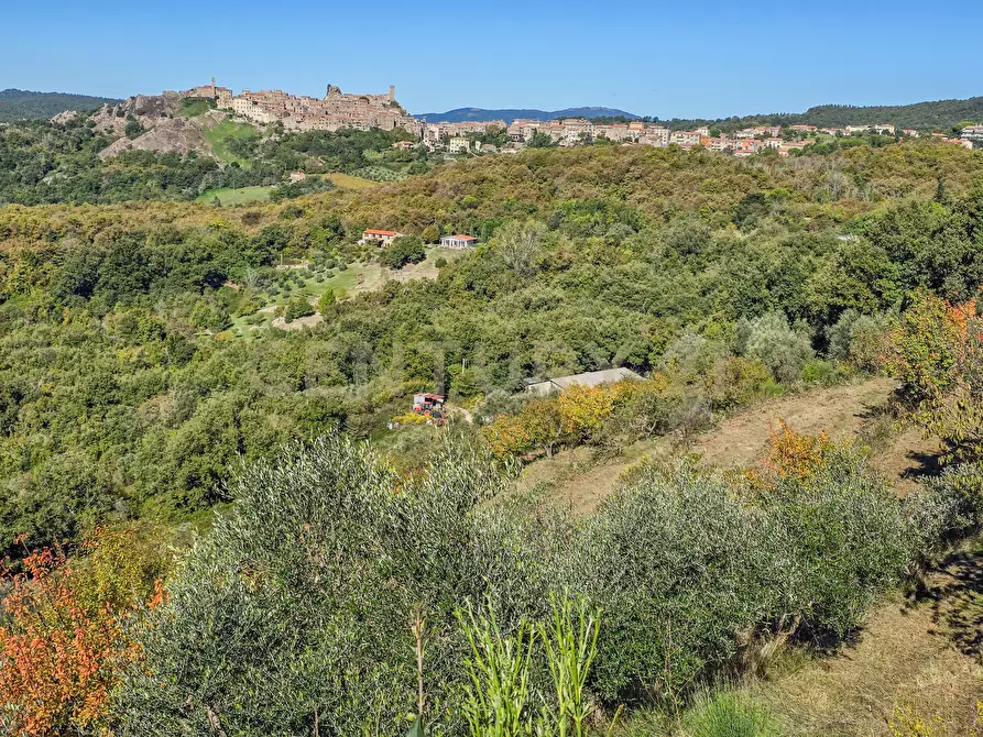 Immagine 8 di Appartamento in vendita  in località le coste snc a Roccastrada