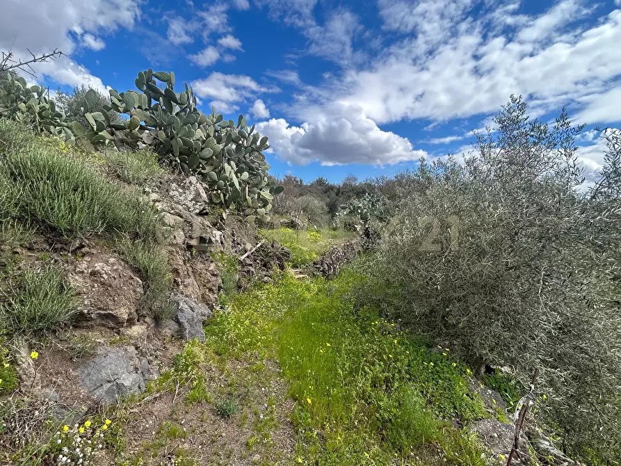 Immagine 19 di Terreno edificabile in vendita  in Viale Giovanni Falcone 9 a Camporotondo Etneo