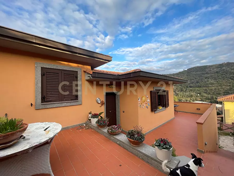 Immagine 20 di Villa in vendita  in Strada Vicinale del Grottino a Monte Argentario