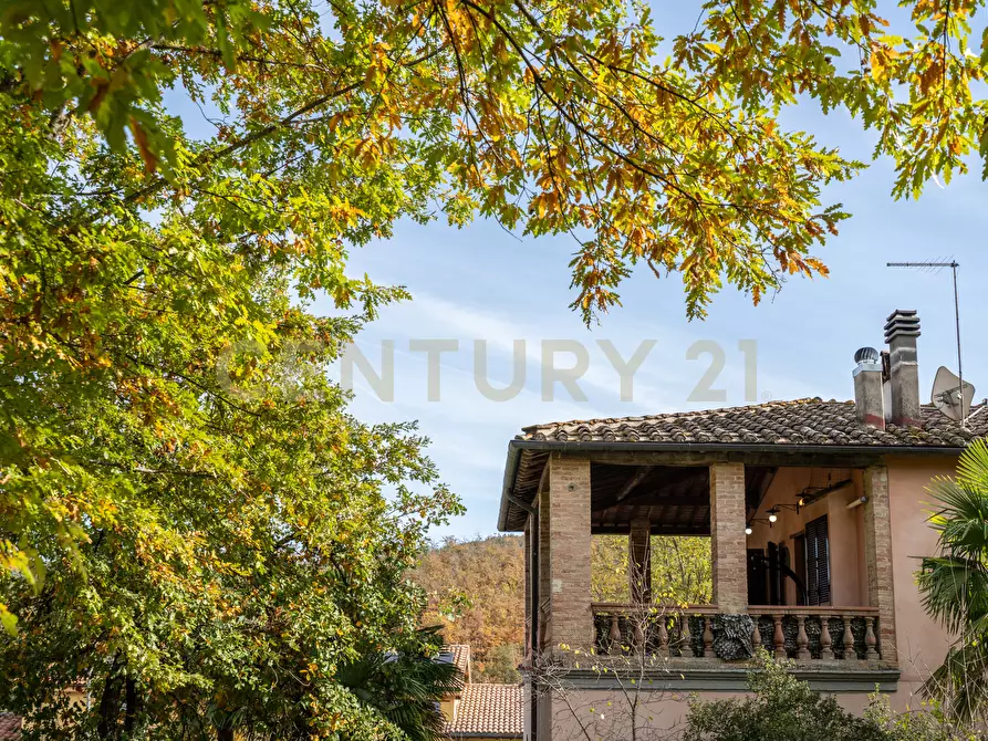 Immagine 6 di Trilocale in vendita  in Via delle Fornaci a Murlo