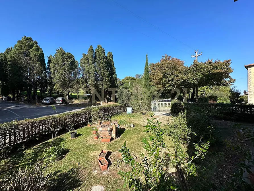 Immagine 2 di Appartamento in vendita  a Scansano