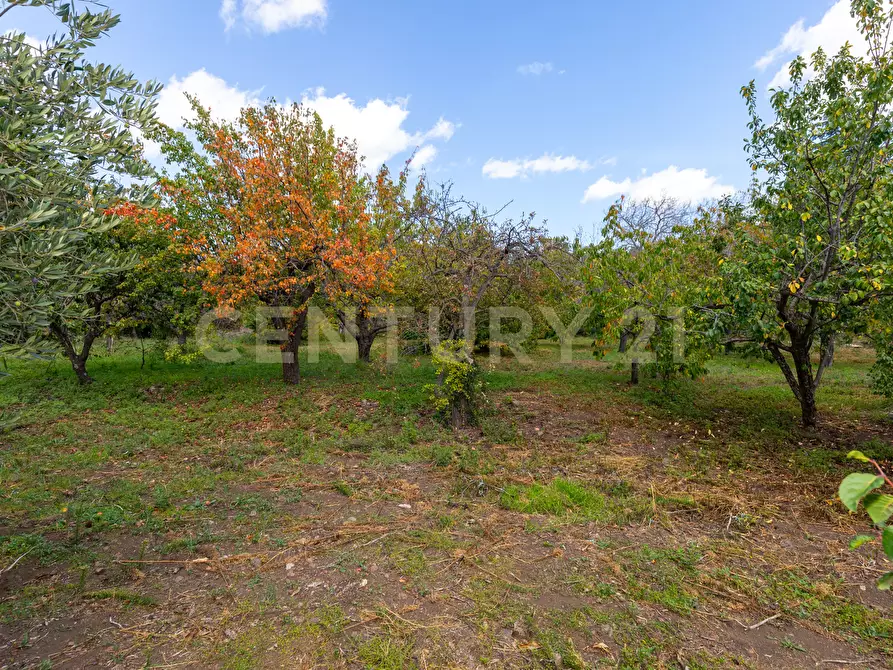 Immagine 17 di Villa in vendita  in Contrada Scolaro Cisterna a Adrano