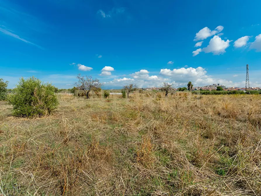 Immagine 13 di Terreno agricolo in vendita  in Via Margarone 5 a Motta Sant'anastasia