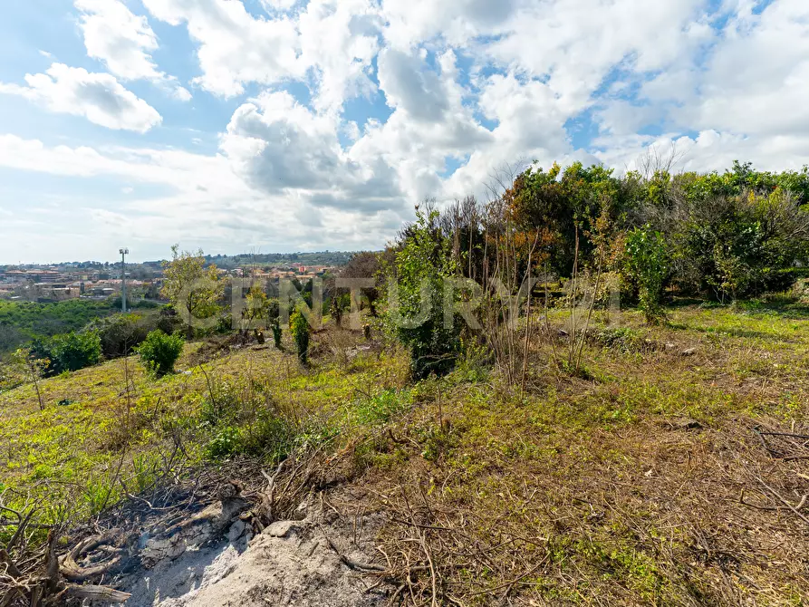 Immagine 15 di Terreno agricolo in vendita  in via giuseppe zinghirino 1 a Giarre