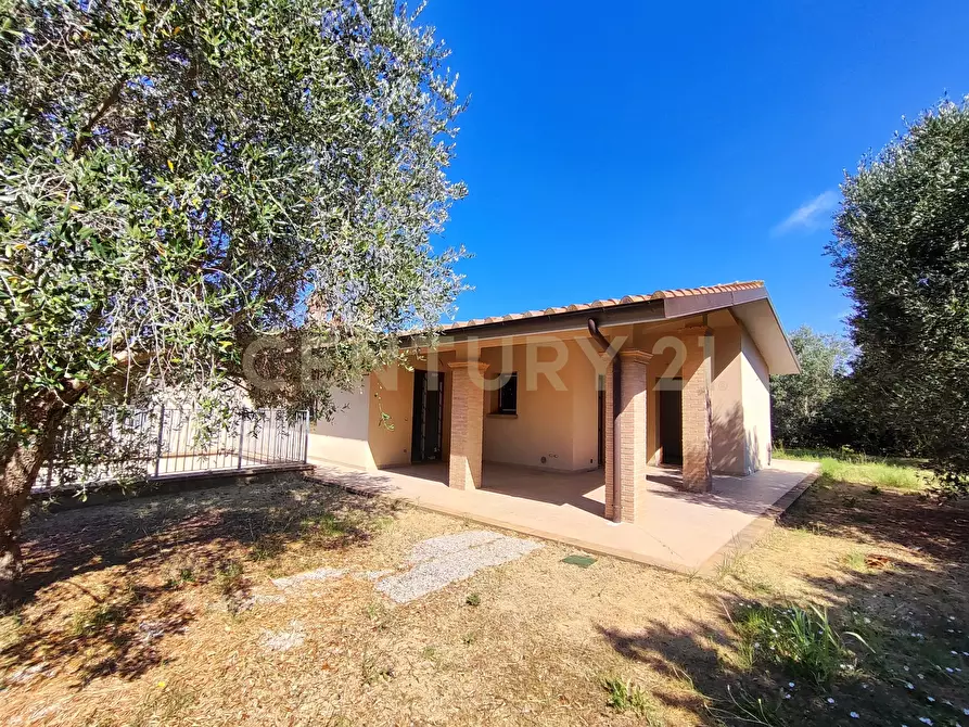 Immagine 1 di Casa bifamiliare in vendita  in Via san martino snc a Castiglione Della Pescaia