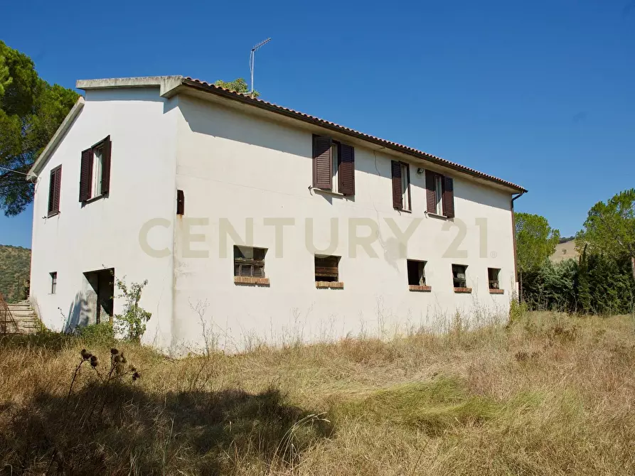 Immagine 33 di Rustico / casale in vendita  in località pian taverna a Cinigiano