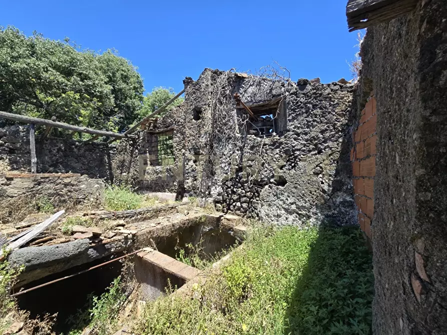 Immagine 11 di Terreno agricolo in vendita  in Vico Agatino De Marco a Gravina Di Catania