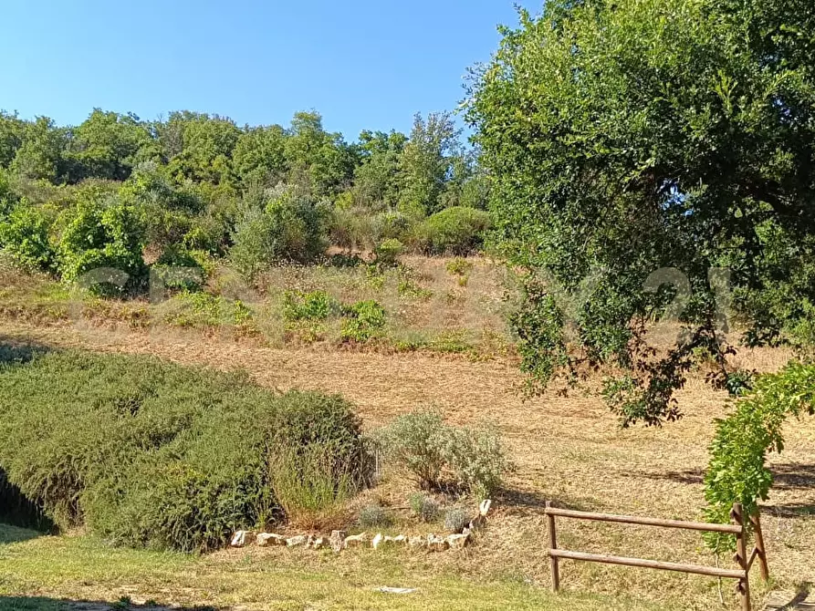 Immagine 27 di Rustico / casale in vendita  a Manciano