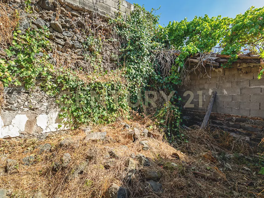 Immagine 5 di Casa indipendente in vendita  in Via Manganelli 3 a Mascalucia