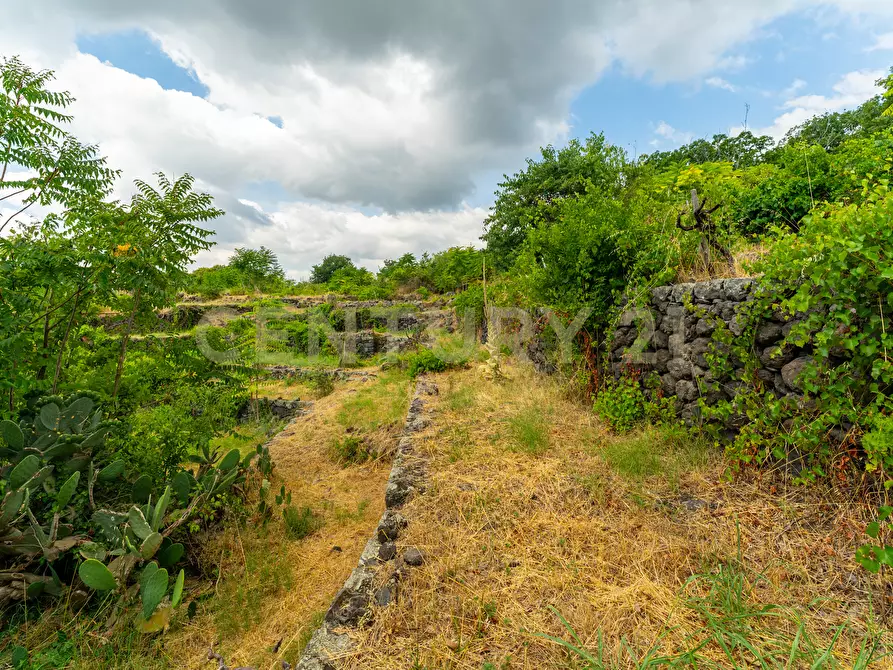 Immagine 49 di Villa in vendita  in Via Grazia Deledda 28 a Santa Venerina