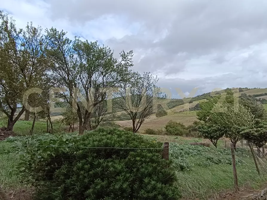 Immagine 6 di Casa indipendente in vendita  in località le croste snc a Manciano