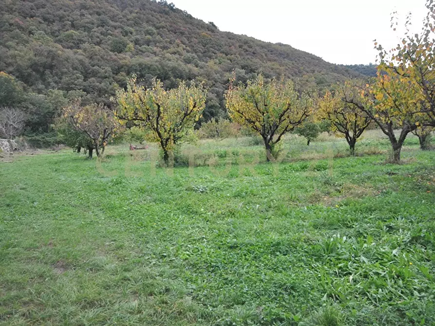 Immagine 14 di Rustico / casale in vendita  in Via Squaranto 6 a Verona