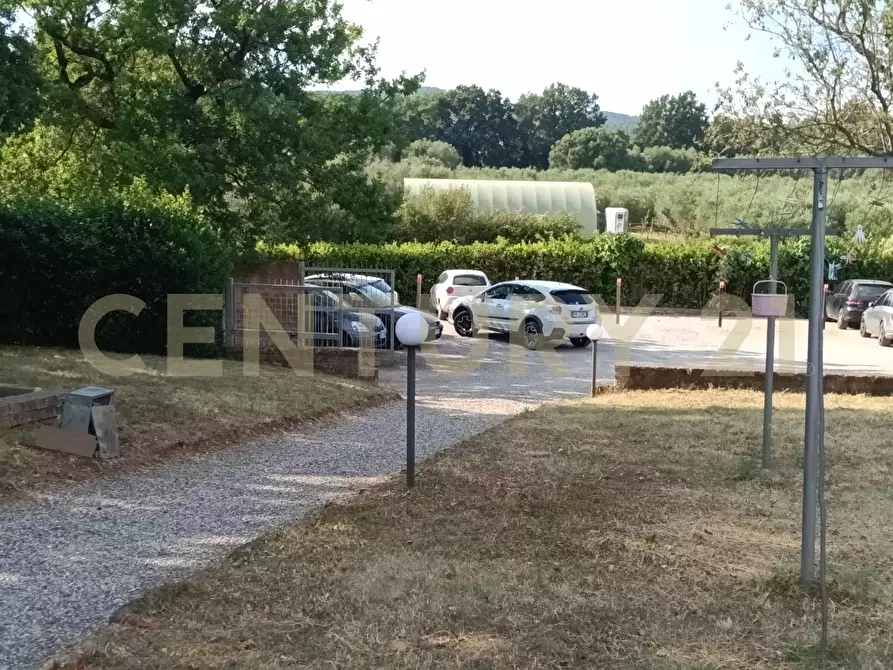Immagine 11 di Rustico / casale in vendita  in località Baraccone s.n.c. a Gavorrano