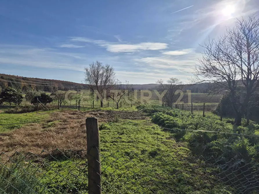 Immagine 25 di Rustico / casale in vendita  in località aratrice a Civitella Paganico